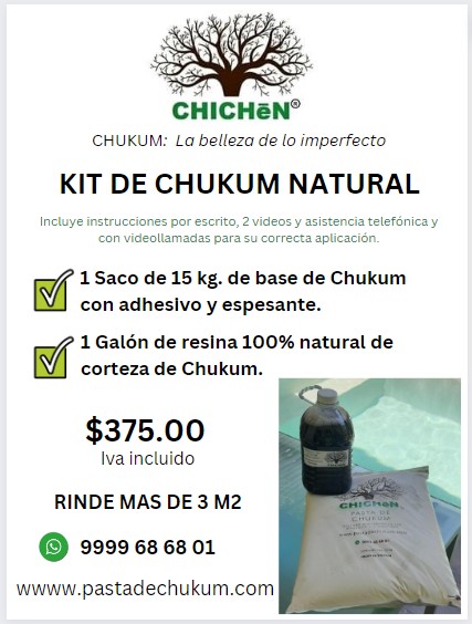Lee más sobre el artículo Precio m2 de Chukum